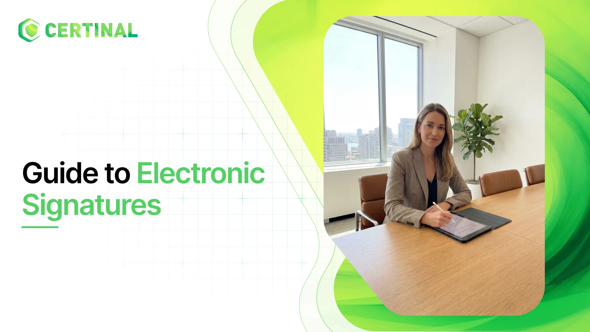 Guide to electronic signatures